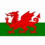 Wales U19