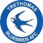 Trethomas Bluebirds