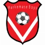 Harkemase Boys