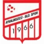 Ayvalikgucu