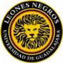 Leones Negros