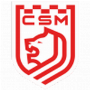 CSM Satu Mare