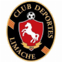 Deportes Limache