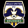 Hills Brumbies