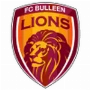 Bulleen Lions