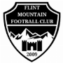 Flint Mountain