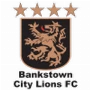 Bankstown City Lions