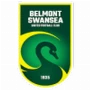 Belmont Swansea