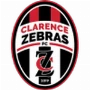 Clarence Zebras II
