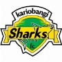 Kariobangi Sharks