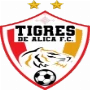 Tigres de Alica