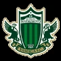 Matsumoto Yamaga
