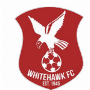 Whitehawk