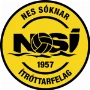NSI Runavik