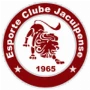 Jacuipense