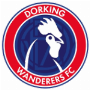 Dorking Wanderers
