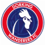 Dorking Wanderers